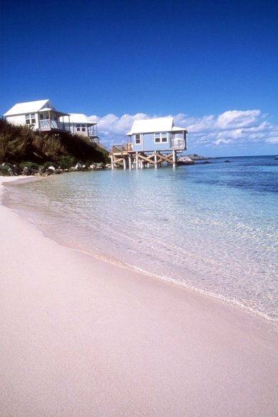 Bermuda Pink Beach.jpg